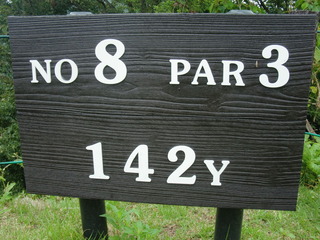 8-1