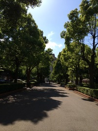 CUC