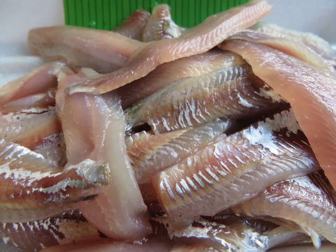 コハダの刺身 こんどはどこへいくの コハダの刺身 こんどはどこへいくの