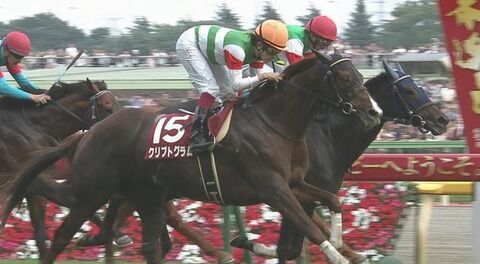 【競馬】目黒記念を勝ったクリプトグラム骨折