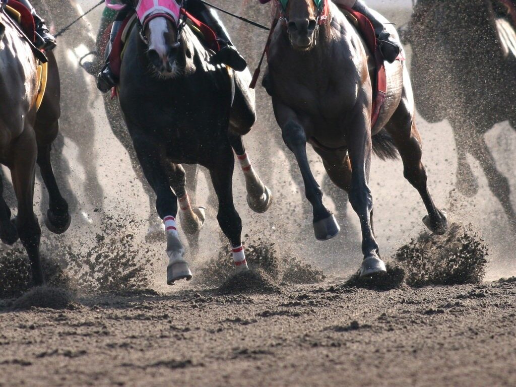 なぜ日本ではダート馬がこんなに人気が無いのか