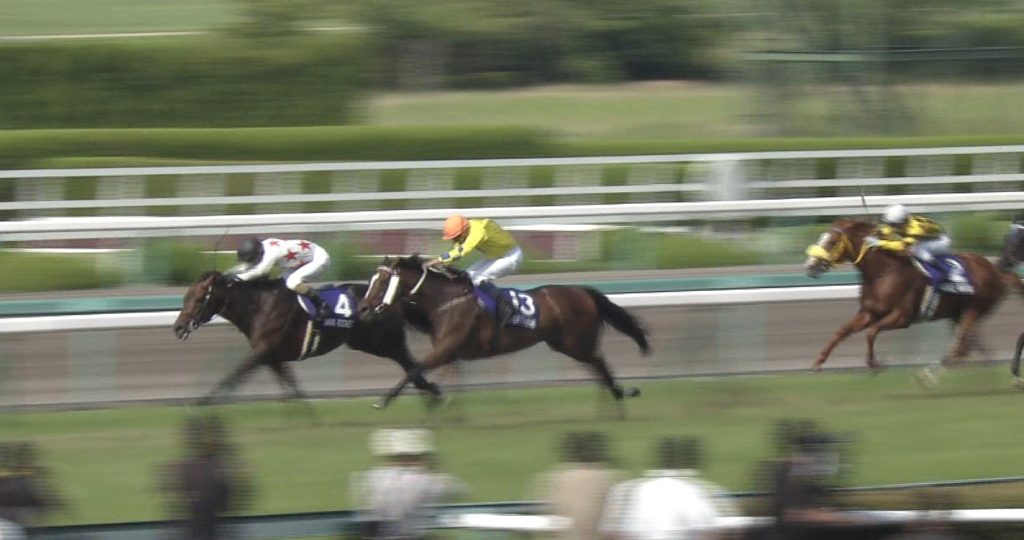 【競馬】近年、宝塚記念に頭数が揃わない理由