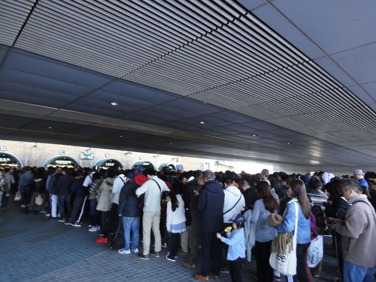 ２０１９ プロ野球オープン戦 阪神ｖｓ日本ハム 甲子園 ｗ３生活はじめました