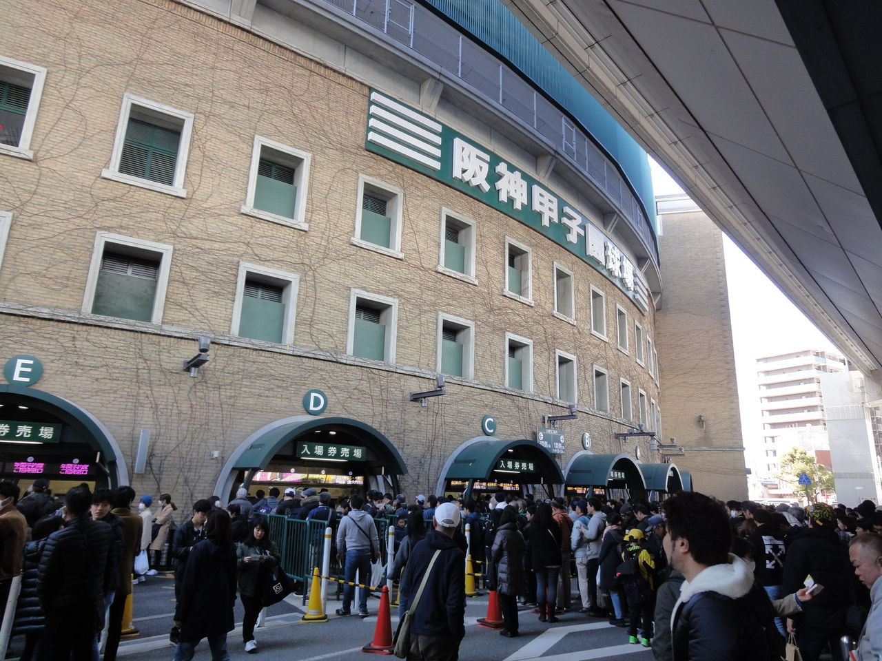 2019 プロ野球オープン戦 阪神vs日本ハム 甲子園 w3生活はじめました 2019 プロ野球オープン戦 阪神vs日本ハム 甲子園 w3生活はじめました