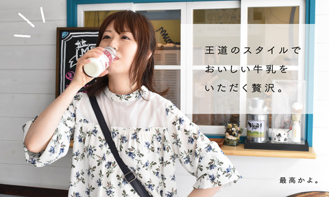 王道のスタイル