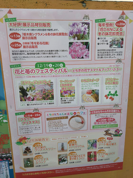 花と苺のフェスティバル とちぎの花でスマイルアップ1 が開催されます とちぎ花センター 栃木市 Soba De Sova 花と苺のフェスティバル とちぎの花でスマイルアップ1 が開催されます とちぎ花センター 栃木市 Soba De Sova