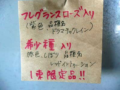 Ja邑楽館林 農産物直売所 ぽんぽこ にて薔薇の希少品種を購入 Soba De Sova