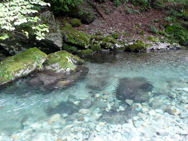 10年大芦川でちょっぴり川遊び 大芦川でお気に入りのスポットを見つけました その1 Soba De Sova 10年大芦川でちょっぴり川遊び 大芦川でお気に入りのスポットを見つけました その1 Soba De Sova