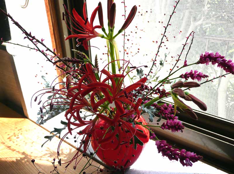 赤い花瓶 Www Seradria Com