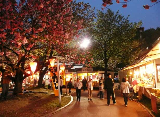 10年春の花と桜の思い出その10 Gwの北関東オススメ観光地その2 栃木県南一の八重桜の名所 天平の花まつり 天平の丘公園 下野市 Soba De Sova