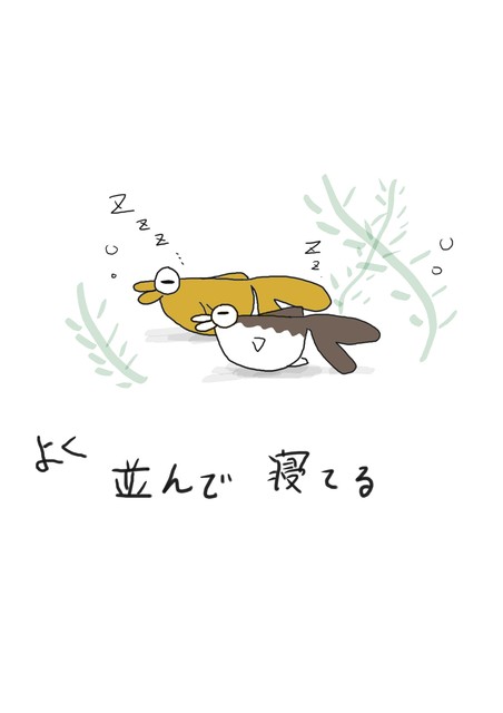 ごろ ねん