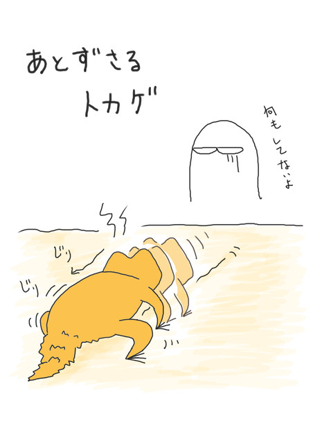 後ずさり かめさま307