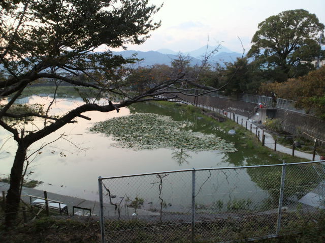 東海道 江尻から府中9 開運 旧東海道 あちこち寄り道 散歩道 東海道 江尻から府中9 開運 旧東海道 あちこち寄り道 散歩道
