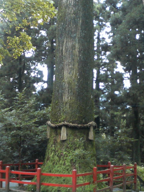 箱根神社２ 開運 旧東海道 あちこち寄り道 散歩道