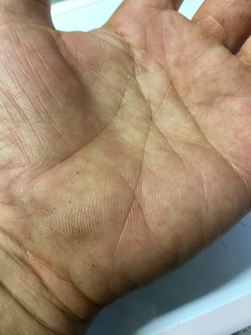 おいらも 巷で噂のラッキーｍだけど Daffodilcarrotのblog