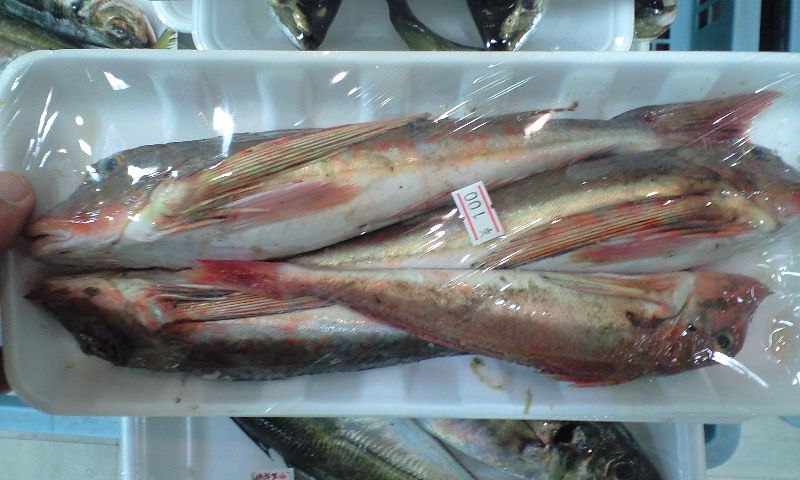 佐渡のお魚常識 佐渡島のあやしいホルモン焼き屋のマスターｂｌｏｇ