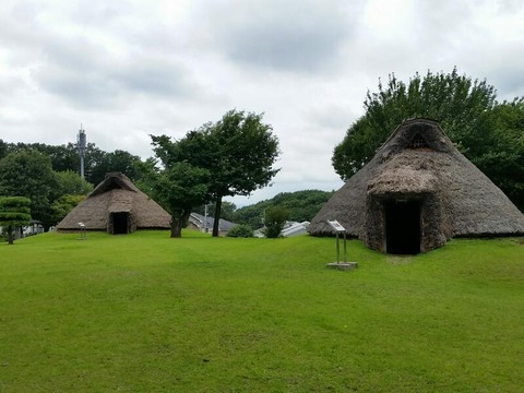 rps20160809_191639_497