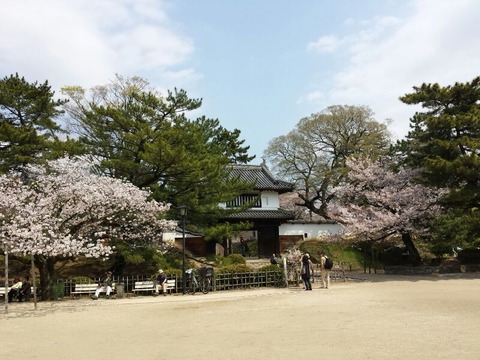 rps20140415_124726_636