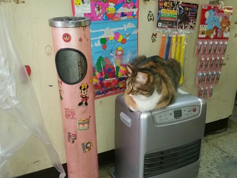 rps20150320_232001_672