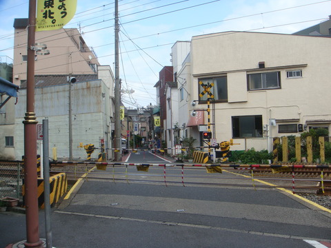 DSC00772