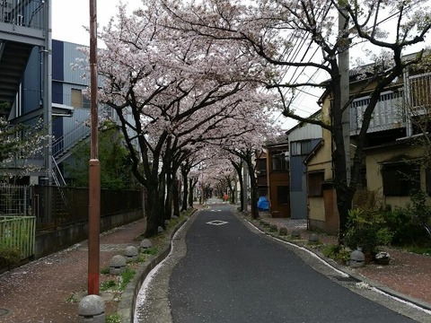 rps20150503_002355_705