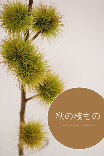 _MG_6458aあ