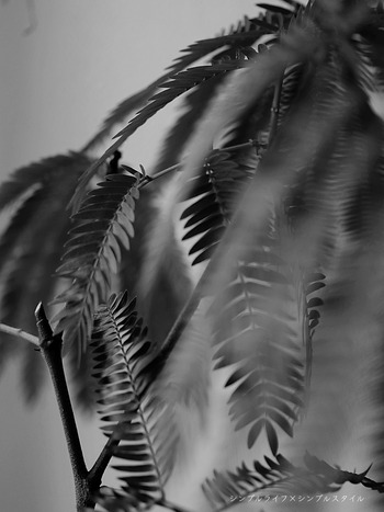 2023_02_19_9999_13a