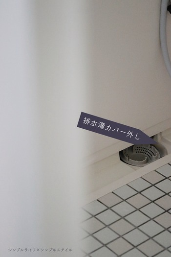 _MG_6528a