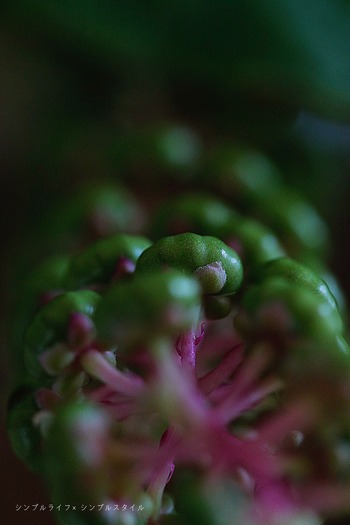2025_07_22_9999_29a