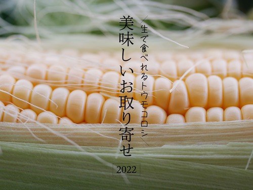 *2022_06_23_9999_6a