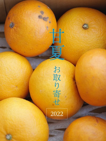 2022_05_18_9999_37a