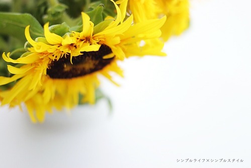 IMG_9012a