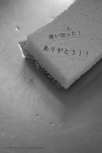 *IMG_3045