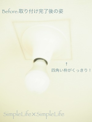 53 のコピー