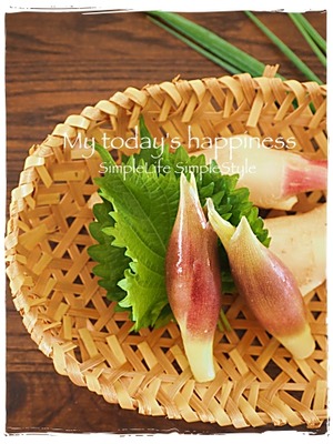 P7213545薬味