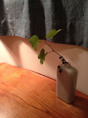 写真 13-09-13 16 46 57