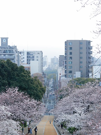 2022_03_26_9999_73*a