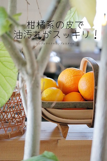 _MG_7239a