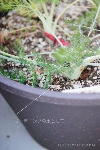 _MG_6598a