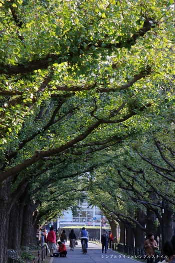 ・・・IMG_8383aaa