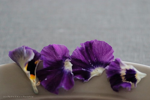 _MG_7221a