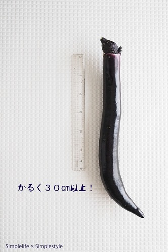 P5223609