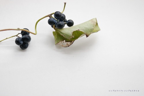 *2024_11_26_9999_36a