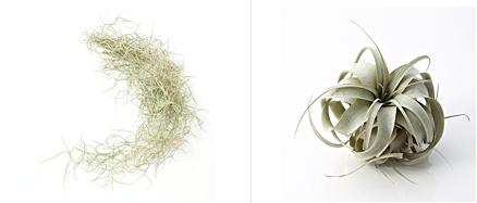 muji4