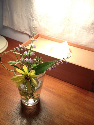 写真 13-09-13 16 49 40