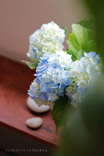 _MG_0849a