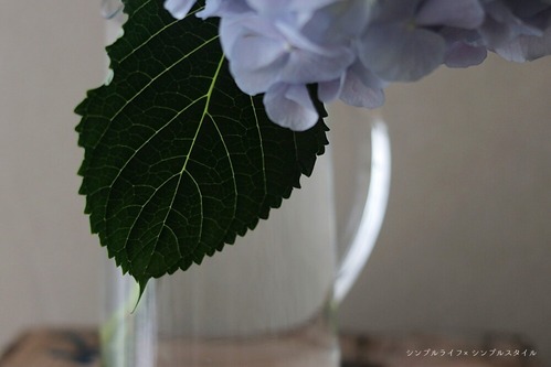 IMG_5976a