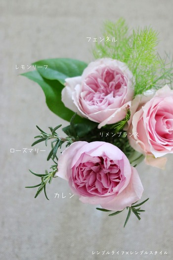 IMG_2941あ