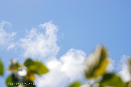 _MG_4582a