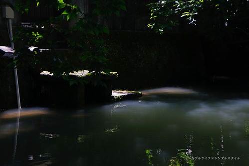 2023_07_06_9999_75a
